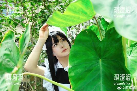 白莉爱吃巧克力眼镜：让每一本精选写真集都成了个事件
