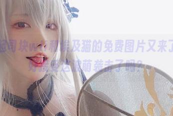 哦不！起司块wii和埃及猫的免费图片又来了，准备好接受这波萌袭击了吗？