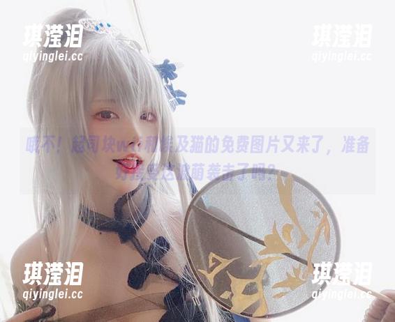 哦不！起司块wii和埃及猫的免费图片又来了，准备好接受这波萌袭击了吗？